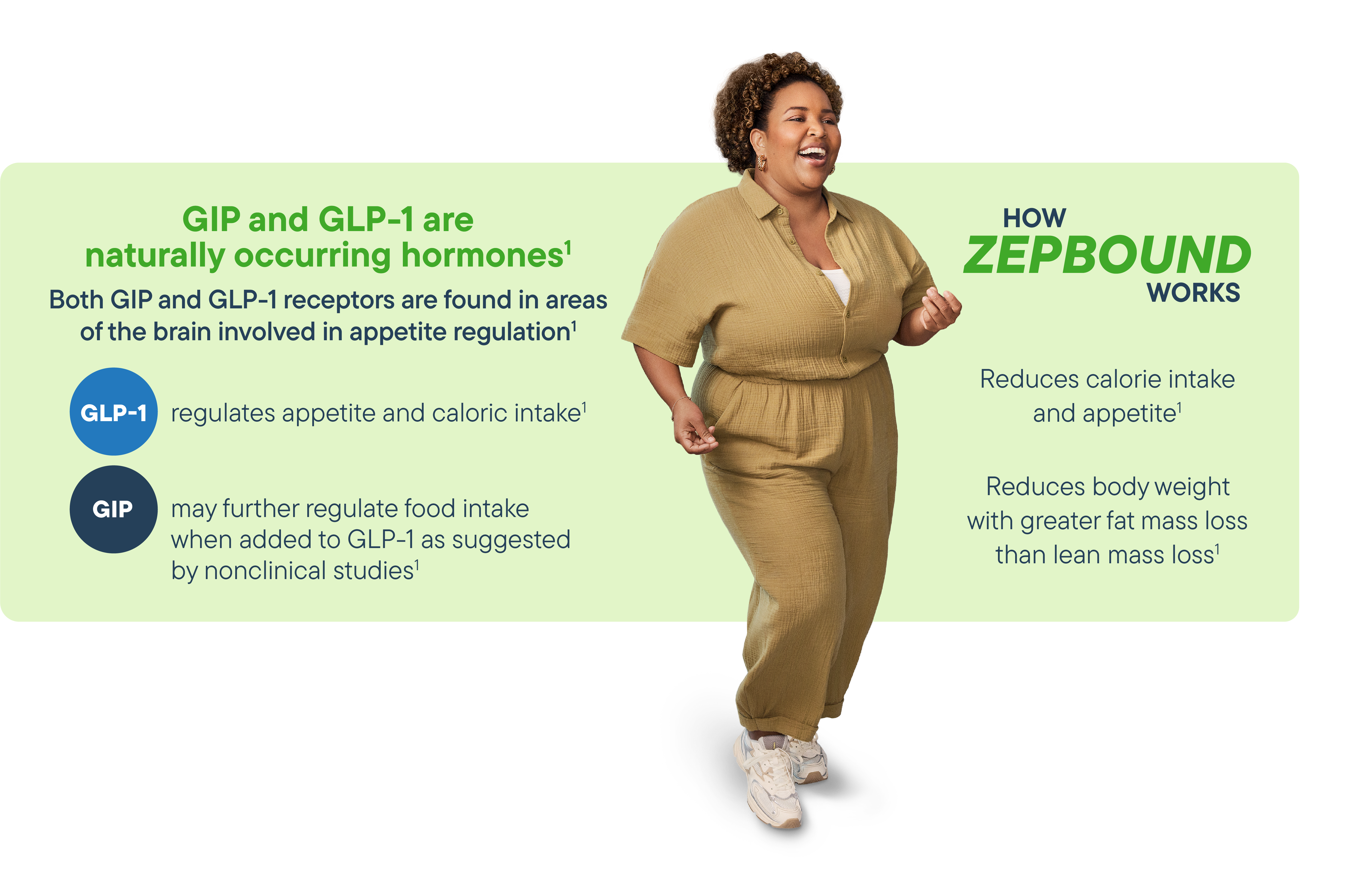 Graphic describing how Zepbound works.