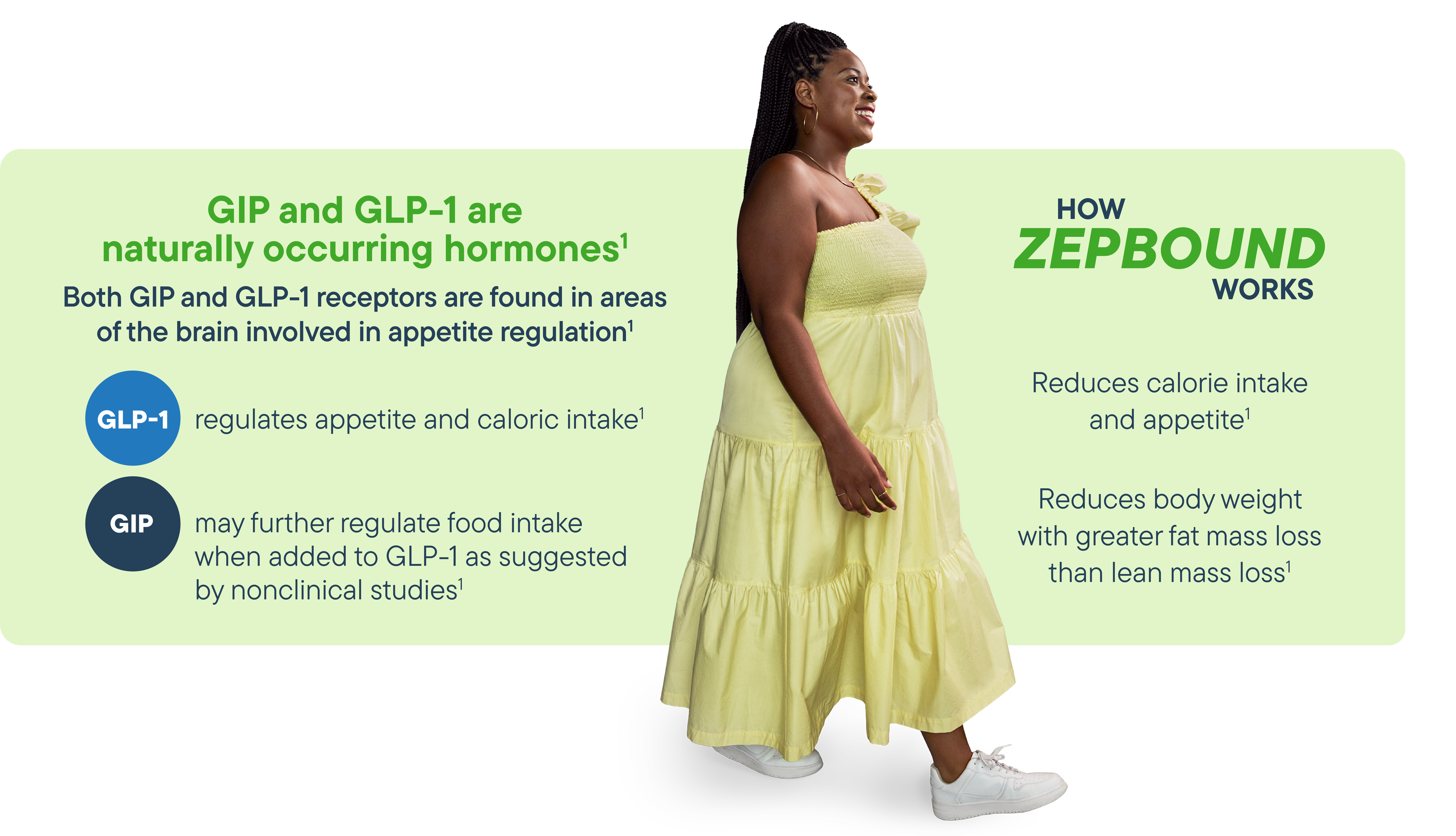 Graphic describing how Zepbound works.